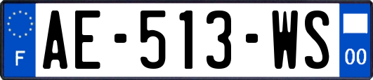 AE-513-WS