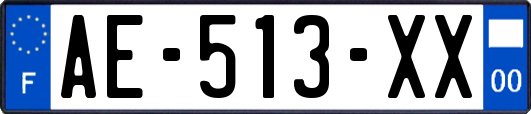 AE-513-XX