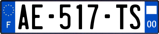 AE-517-TS