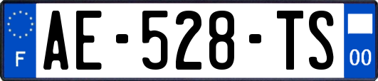 AE-528-TS