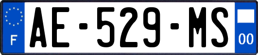 AE-529-MS
