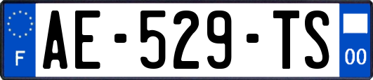 AE-529-TS