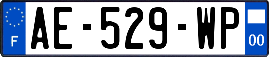 AE-529-WP