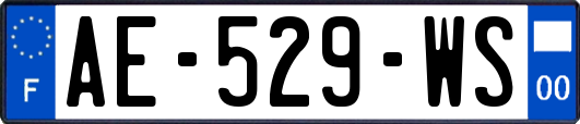 AE-529-WS