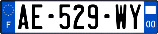AE-529-WY