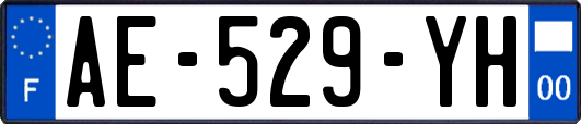 AE-529-YH