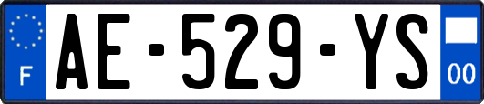 AE-529-YS