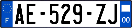 AE-529-ZJ