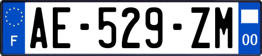 AE-529-ZM