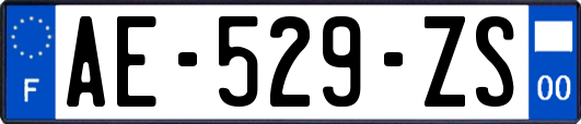 AE-529-ZS