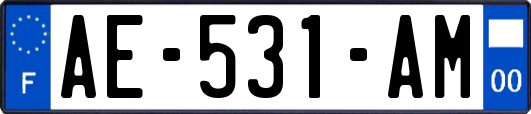 AE-531-AM