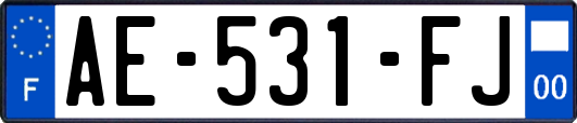 AE-531-FJ