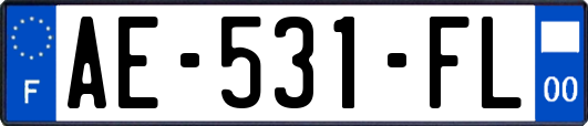 AE-531-FL