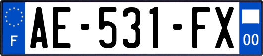 AE-531-FX