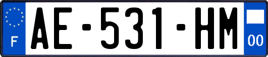 AE-531-HM
