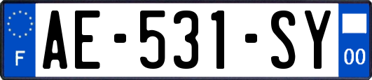 AE-531-SY