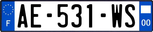 AE-531-WS