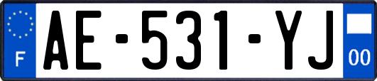 AE-531-YJ