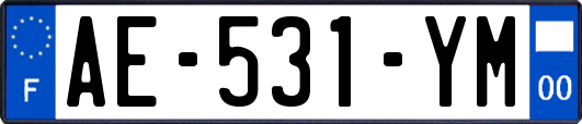 AE-531-YM