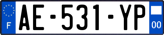AE-531-YP