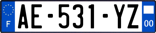 AE-531-YZ