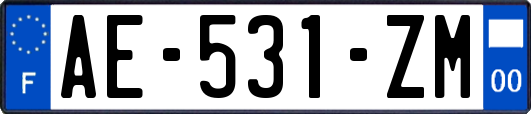 AE-531-ZM