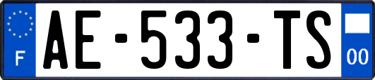 AE-533-TS