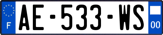 AE-533-WS