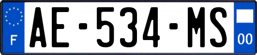 AE-534-MS