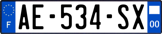 AE-534-SX