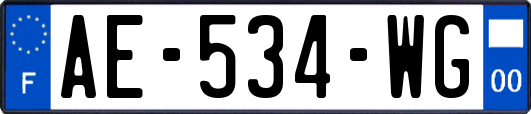 AE-534-WG
