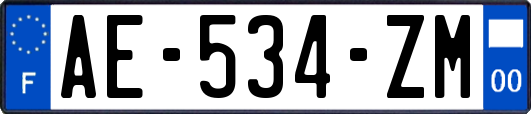 AE-534-ZM