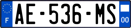 AE-536-MS