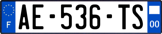 AE-536-TS