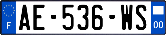 AE-536-WS