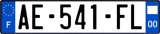AE-541-FL