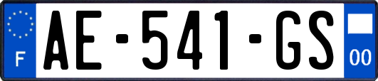 AE-541-GS
