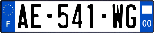 AE-541-WG