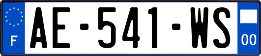 AE-541-WS