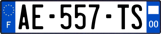 AE-557-TS