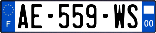 AE-559-WS