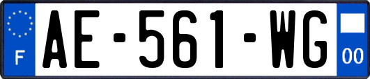 AE-561-WG