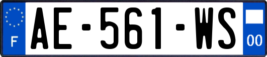 AE-561-WS