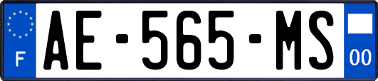 AE-565-MS