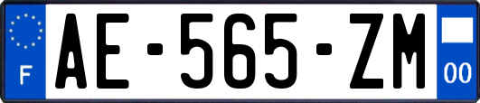 AE-565-ZM