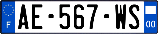 AE-567-WS