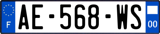AE-568-WS
