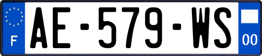 AE-579-WS