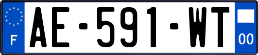 AE-591-WT
