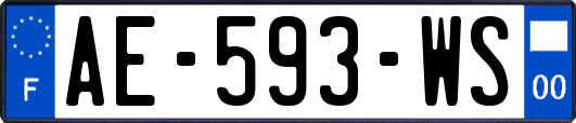AE-593-WS